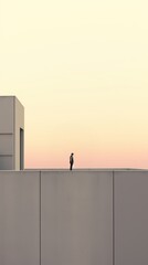 Violist on the rooftop architecture building outdoors.