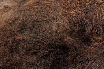 The texture of the skin and wool of a pig, horse, cow, sheep.
Background for design.