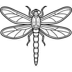 dragonfly cartoon vector illustration