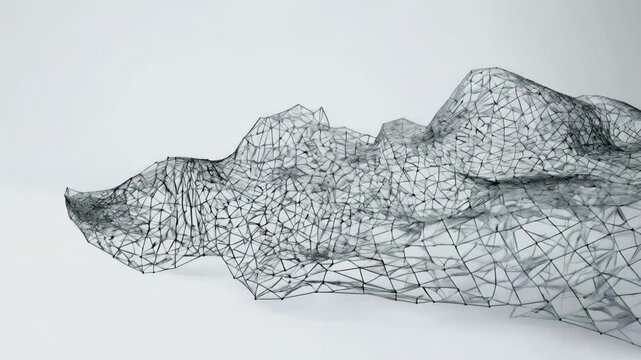 3D Wireframe Animation