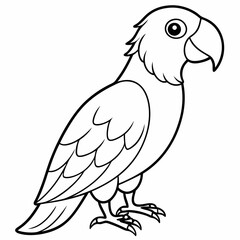 parrot