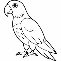 illustration of a bird