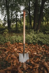 Garden Spade in Autumn Leaves Surrounded by Trees