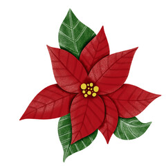 christmas flower poinsettia