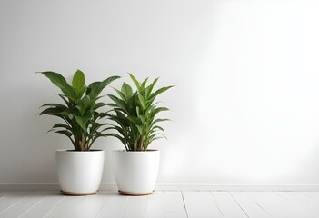 Fototapeta premium Two potted plants with green leaves on a white wall background.