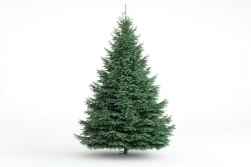 Fototapeta premium christmas tree isolated Beautiful christmas tree isolated on a white background