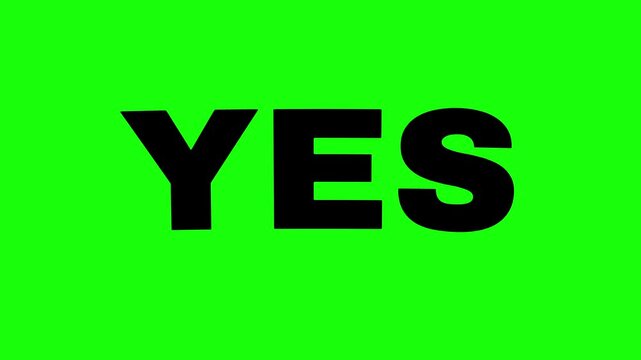 Animation yes text word, on a green chroma key background