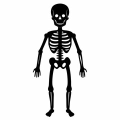 human skeleton isolated on black