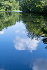 雲場池の水面に映る夏空