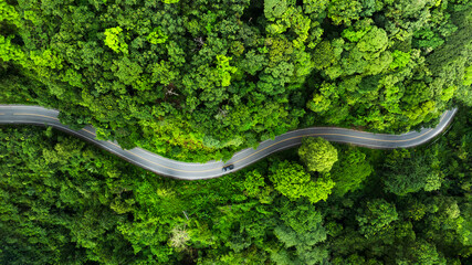 Road in the middle of the forest , road curve construction up to mountain, Rainforest ecosystem and...