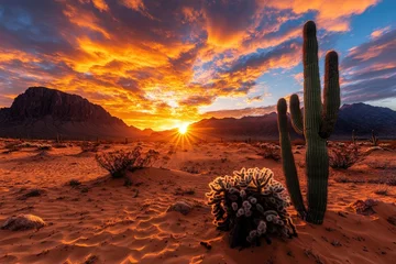 Selbstklebende Fototapeten A stunning sunrise illuminates a desert landscape featuring a prominent cactus, bushes, and distant mountains, creating a vibrant and scenic natural view. © DKPhoto