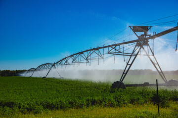 Powered center pivot irrigation system in use to water large alfalfa field growing in central North Dakota.