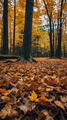 Autumnal Forest Floor Covered in Fallen Leaves.