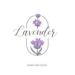 Lavender flower vector logo. Floral design label