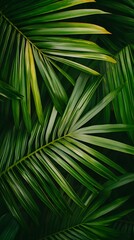 A background of dark green palm leaves with vibrant colors, creating an exotic and lush atmosphere