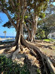 Regio Calabria, Italy. 
