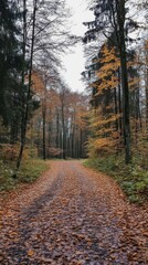 Obraz premium Serene Autumn Forest Path