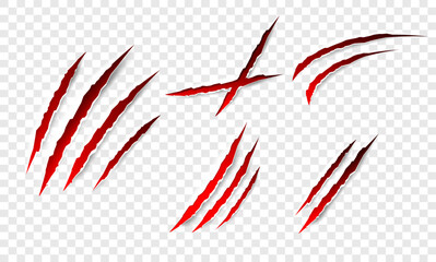 Claws scratches - vector isolated. Claws scratches animal claw tracks cat or tiger bear or lion attack nails scratches. Horror, halloween monster. Vector