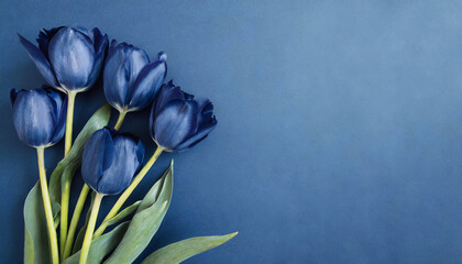 Naklejka premium Niebieskie kwiaty tulipany tło życzenia
