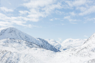 snow covered mountains