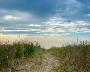 grass and sky by the sea