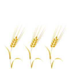 Clip art of barley with golden ears in cartoon style