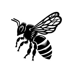  flying honey bee bumblebee character vector design