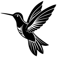 Obraz premium Hummingbird vector design on a white background
