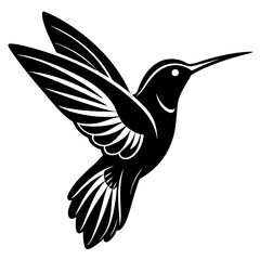 Fototapeta premium Hummingbird vector design on a white background