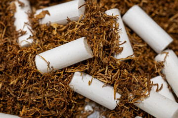 Detail of filters and tobacco.
