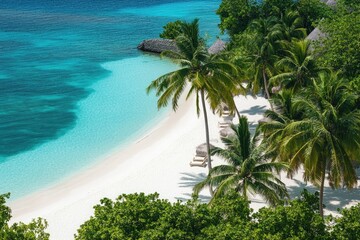 a beach with palm trees and a white sand beach