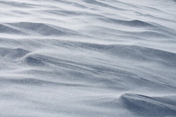 Obraz premium Détails neige