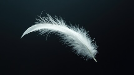 Obraz premium Elegant white feather drifting against a rich black backdrop, capturing its soft and ethereal quality