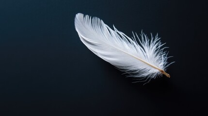 Elegant white feather softly drifting against a dark black backdrop, capturing its light and delicate nature