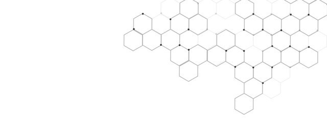 Vectors Geometric abstract background with simple Hexagon elements. Vector illustration for medicine, technology or science design