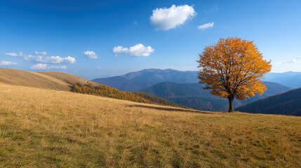 Fototapeta premium Crisp autumn day in the mountains, showcasing a vibrant landscape of colorful foliage and clear skies 