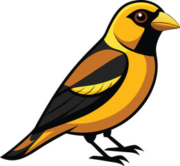 Fototapeta premium evening grosbeak bird artwork victor