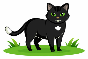 black cat with a white color with the grass on white background 