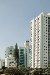 Building, buildings and cathedrals. Big city seen from above