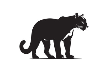 Jaguarundi vector art and illustration