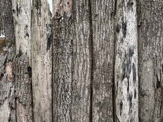 Obraz premium weathered wooden fence