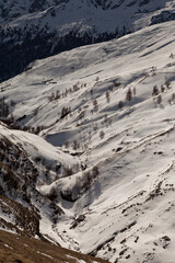 Forme de neige