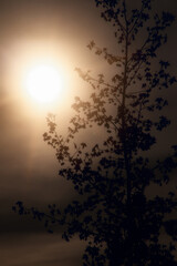 por do sol