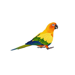 red and yellow macaw drawn vector