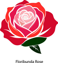 Vibrant floribunda Rose in Full Bloom Elegant Pink floribunda  Rose with Dew Drops