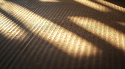 Close-up of cardboard box textures under natural sunlight, highlighting the grain and shadows