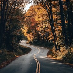 Fototapeta premium Scenic autumn road through a colorful forest with fall foliage and fog