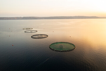 Sunset view of circular fish farming structures on the tranquil water in a coastal area.