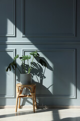 Stylish stool and houseplant near light grey wall indoors