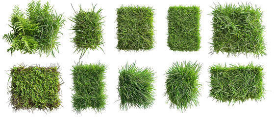 Collection of top view, vibrant green grass patches isolate on transparent background, cutout, png